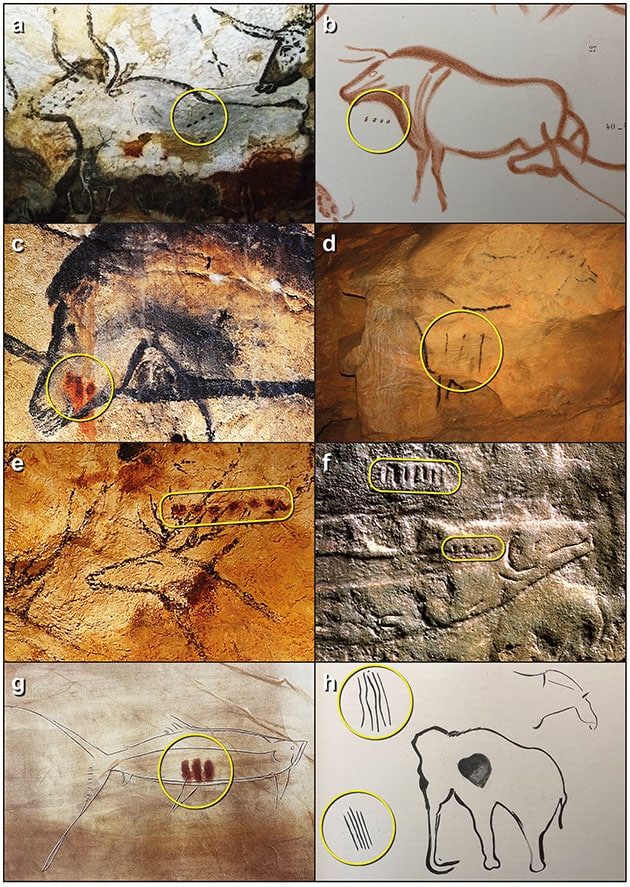 Beispiele von Punkt- und Strich-Markierungen in Verbindung mit Abbildungen von Auerochsen, Pferden, Wild, Lachs und Mammuts.Copyright/Quelle: Bacon et al. 2023, Cambridge Archaeological Journal