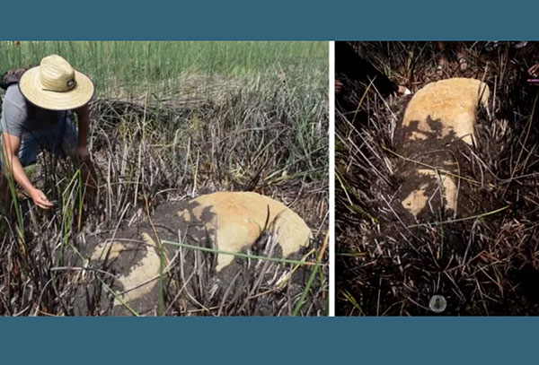 Fundsituation des im Seegrund entdeckten Moai. Copyright: Ma’u Henua
