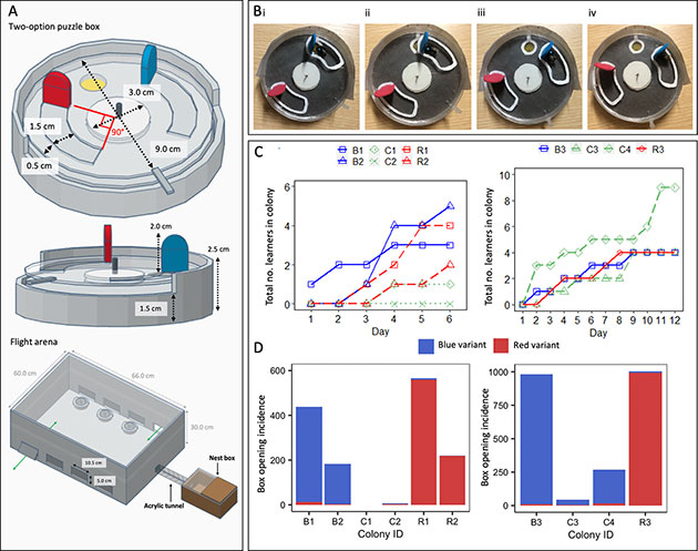 VersuchsaufbauCopyright/Quelle: A. Bridges / PLoS