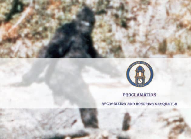 Symbolbild: Standbild aus dem Patterson-Gimlin-Film von 1964 und der offiziellen Proclamation zum Schutz von Sasquatch der Callahan County Commissioners.Copyright: Public Domain (B&G), clallamcountywa.gov
