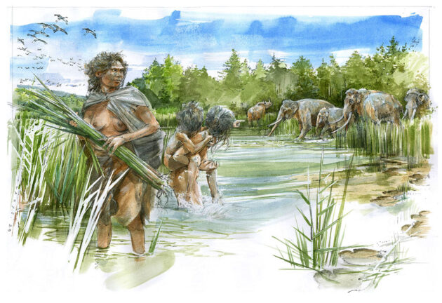 Künstlerische Darstellung der Gruppe von Homo heidelbergensis, die vor rund 300.000 Jahren im heutigen Schöningen in Niedersachsen am Ufer eine damaligen Sees unterwegs waren (Illu.). Copyright/Quelle: Aquarell von Benoît Clarys / Universität Tübingen