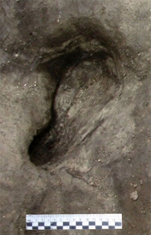 Einer der Homininen-Fußabdrücke von Schöningen.Copyright: Senckenberg