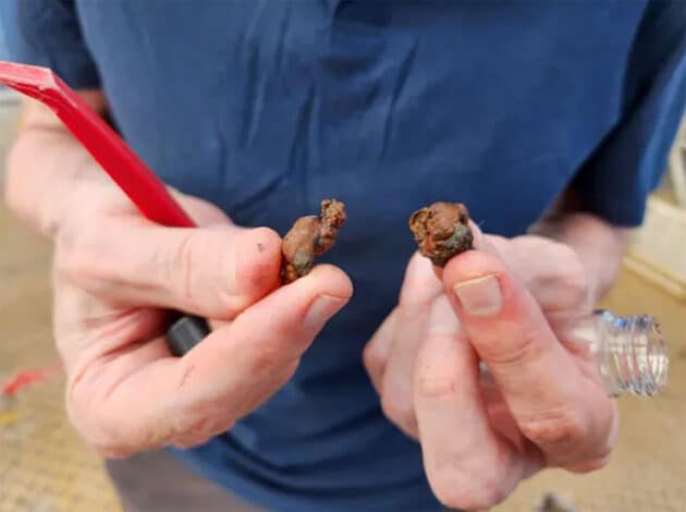 Erste Funde größerer magnetischer Partikel. Copyright/Quelle: Avi Loeb (via Medium.com)