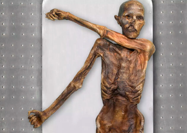 Die als „Ötzi“ berühmte gewordene Gletschermumie. Copyright: Südtiroler Archäologiemuseum/EURAC/Marco Samadelli-Gregor Staschitz