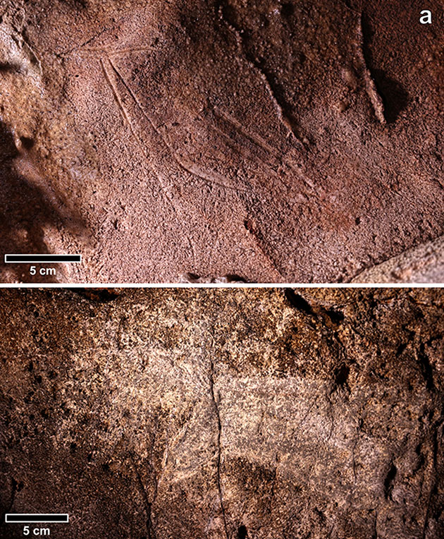 Gravierte mediterrane trilineare Darstellung einer Hirschkuh (o.) und zweier Pferdeköpfe (u.).Copyright/Quelle: Ruiz-Redondo et al. / Antiquity, 2023