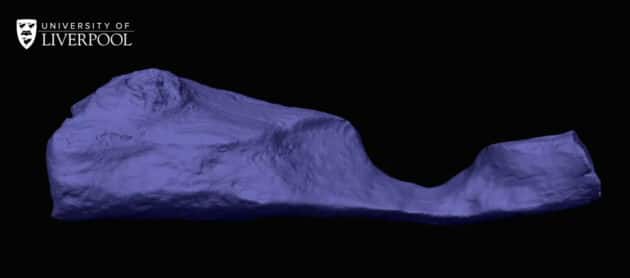 3D-Modell des kleineren Holzstücks, in das eine Einkerbung zur Verbindung mit dem größeren Stamm eingearbeitet wurde.Copyright/Quelle: Larry Barham et al., Nature 2023 / liverpool.ac.uk