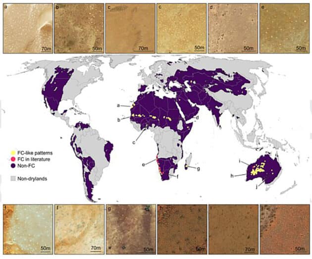 Der erste weltweite „Feenkreis-Atlas“.Copyright/Quelle: E. Guirado et al / PNAS, 2023