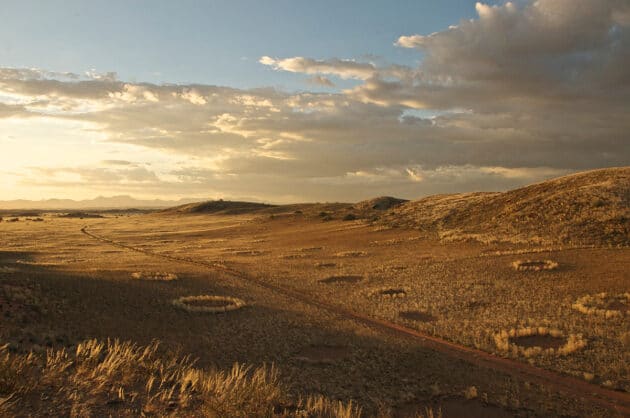 Archivbild: Feenkreise im Damaraland im Nordwesten Namibias. Copyright: Lidine Mia (via WikimediaCommons) / CC BY-SA 4.0