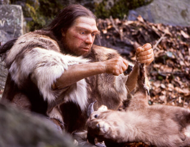 Symbolbild: Rekonstruktion eines Neandertalers. Copyright: Neanderthal-Museum, Mettmann (via WikimediaCommons) / CC BY-SA 4.0