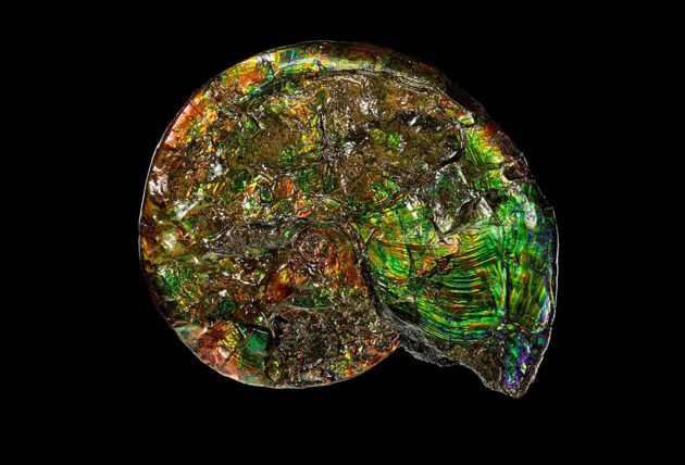 Mit der Entstehung der Erde entstanden auch neue geologische Prozesse, insbesondere solche, die mit der Wechselwirkung von heißen Fluiden mit Gestein während vulkanischer Aktivität und Plattentektonik zusammenhängen. Diese Prozesse führten (vor 4,55 bis 2,5 Milliarden Jahren) zur Entstehung von über 1500 neuen Mineralarten. Vor etwa 2,5 Milliarden Jahren begann sich biologisches Leben zu entwickeln und führte Sauerstoff in die Atmosphäre ein. Dies war eine entscheidende Zeit, in der die Photosynthese begann und die Wechselwirkung von Eisen mit Sauerstoff-basierten Mineralien das alte Leben veränderte und gleichzeitig den Bauplan für unsere zukünftige Evolution zusammen mit Mineralien lieferte. Copyright/Quelle: Dr. Robert Lavinsky