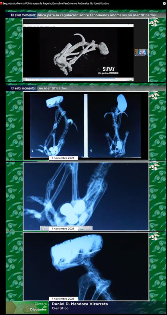 Weitere Aufnahmen zeigten einen weiteren bislang unbekannten, ebenfalls offenbar „ei-schwangeren“ Körper. Einige Kommentatoren in den sozialen Netzwerken glauben darin.Quelle: Canal del Congreso México (Youtube)