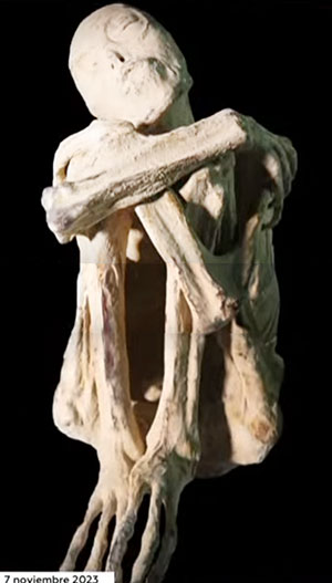 Die menschengroße Mumie „Maria“.Quelle: Canal del Congreso México (Youtube)