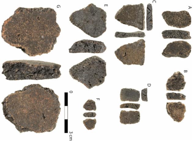 Keramik-Bruchstücke von Grabungen auf Jiigurru/Lizard Island vor der Küste von Queensland.Copyright/Quelle: Ian McNiven, S. Ulm et al. / Quaternary Science Reviews, 2024