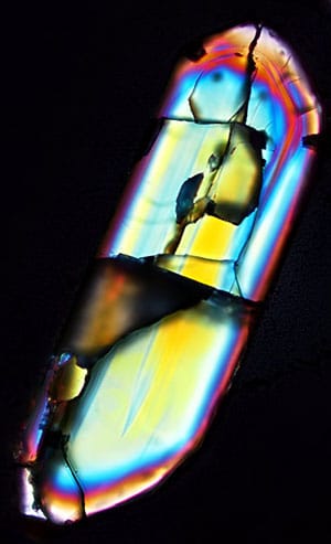 Ein Zirkonkristall unter dem Mikroskop.Copyright: Hugo Olierook/Curtin University