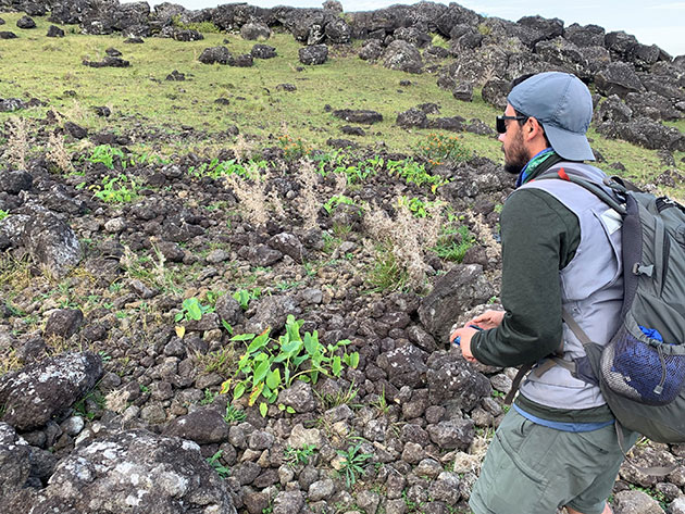 Dylan Davis vor einem historischen Steingarten auf Rapa Nui.Copyright: Carl Lipo