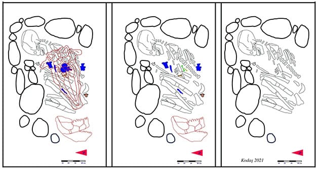 Grafische Darstellung der Bestattung mit Markierungen der beigegebenen Tierknochen.Copyright/Quelle: Ergül Kodas et al., L'Anthropologie 2024