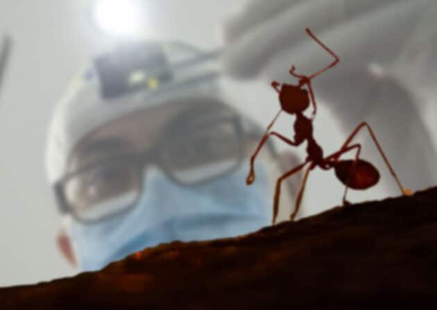 Symbolbild. Copyright/Quelle: grewi.de (zusammengestellt mit Materialien von Pixabay.com)