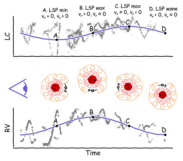 Das untere Diagramm veranschaulicht die vom Begleitstern verursachte Ausdünnung der Staubhülle von Beteigeuze, die diesen immer dann heller erscheinen lässt, wenn der Begleiter (Alpha Orionis B) in der Sichtachse zur Erde vor Beteigeuze vorbeizieht.Quelle: Goldberg, Joyce u. Molnar, ArXiv.org 2024