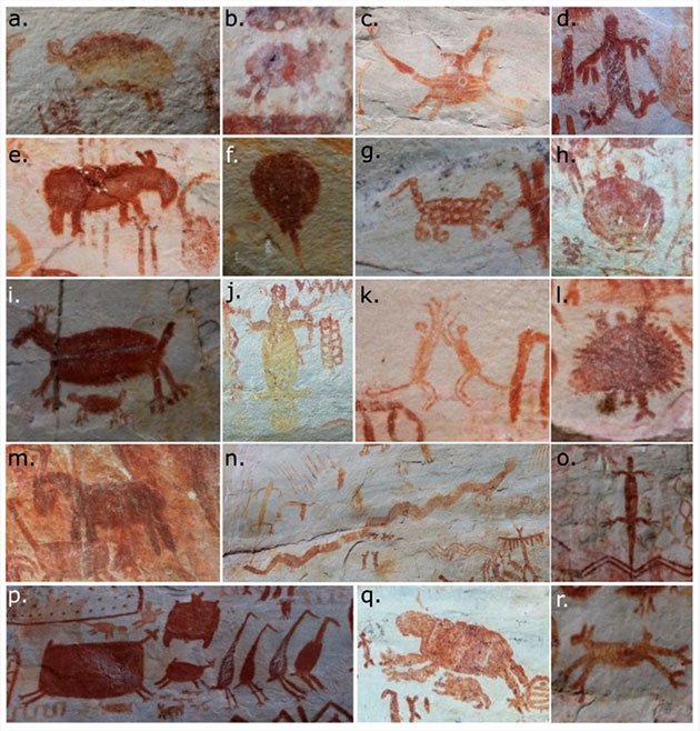 Beispiele für bekannte Tierarten in den Darstellungen der Bildertafeln von Cerro Azul.Copyright/Quelle: Hampson et al., Advamces in Rock Art Studies 2024