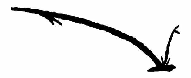 Zeichnung des „Pfluges von Walle“.Quelle: B. Fiedler, ArXiv.org 2024