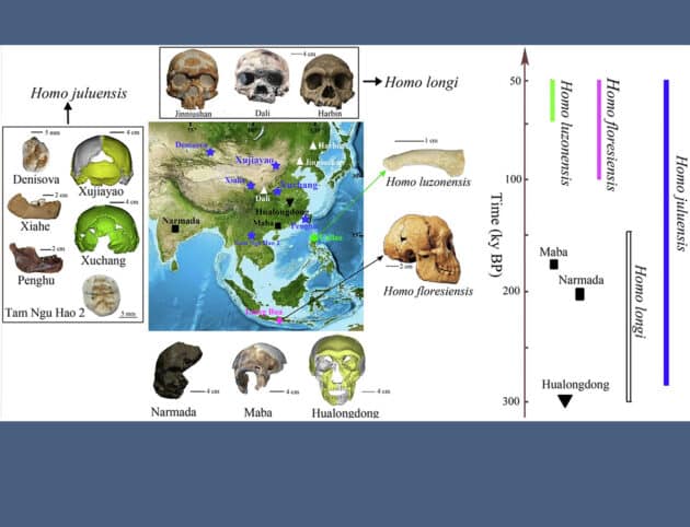 Homininen-Funde des späten Quartärs (~300.000– ~50.000 Jahre vor heute) aus Ostasien. Quelle: Bae, Wu et al., Nature Communications 2024