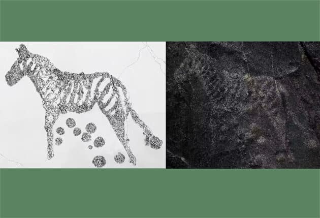 Ein Zebra, eingraviert auf Kurukop (l.) und die Nachzeichnung. Copyright: Amy Rusch (Zeichnung), Neil Rusch (Fotografie)