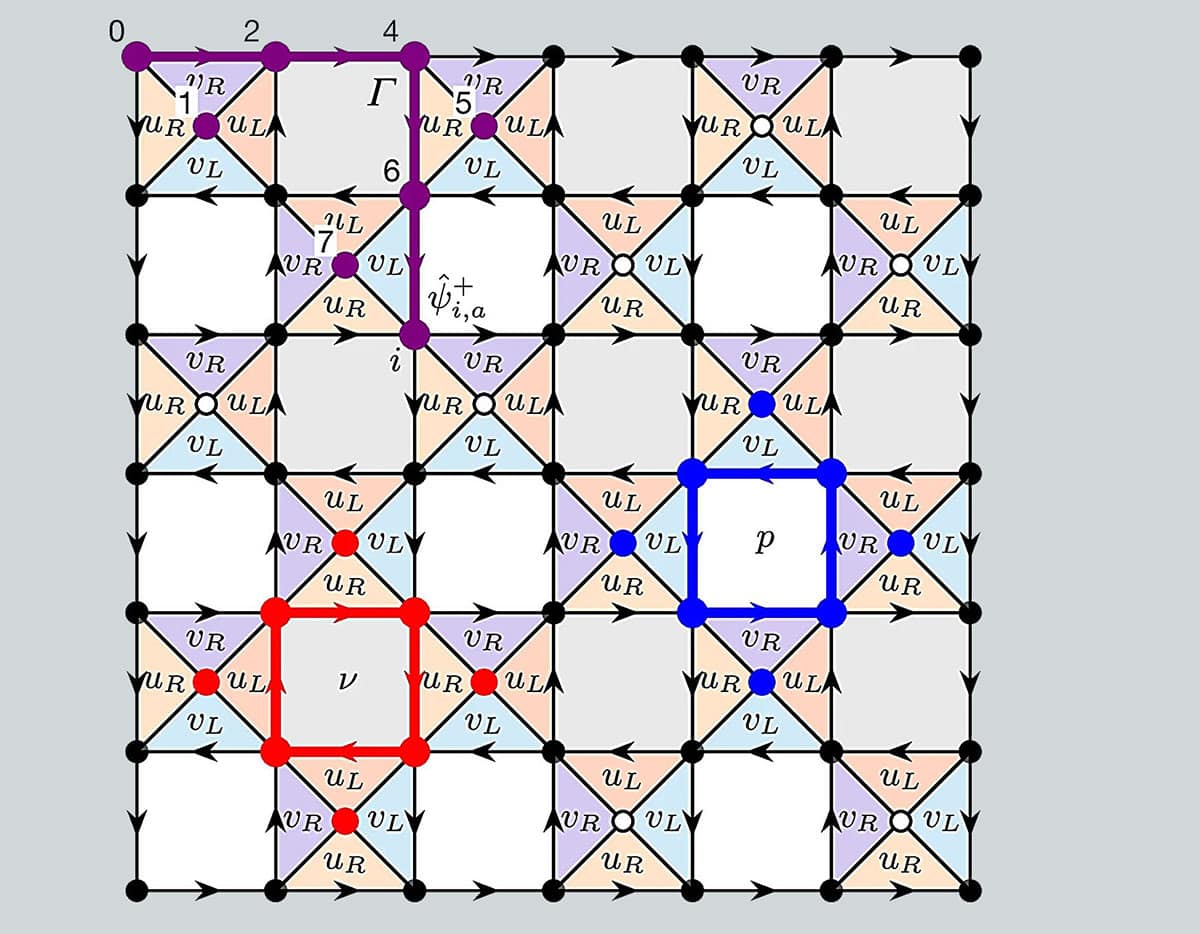 Das 2D exakt lösbare Spin-Modell auf einem 7×7-Gitter mit offenen Randbedingungen.Copyright/Quelle: Hazzard et al., Nature (2025). DOI: 10.1038/s41586-024-08262-7
