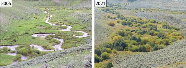 Blick flussaufwärts auf den Blacktail Deer Creek in den Jahren 2005 und 2021 im nördliche Yellowstone-Nationalpark.Quelle: R.L. Beschta