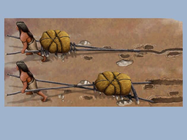 Künstlerische Rekonstruktion zweier Personen, die jeweils einen Travois ziehen – einer besteht aus zwei an einem Ende zusammengebundenen Stangen, der andere aus zwei in der Mitte gekreuzten Stangen. Copyright/Quelle: Gabriel Ugueto / Bennett et al., Quaternary Science Advances (2025)