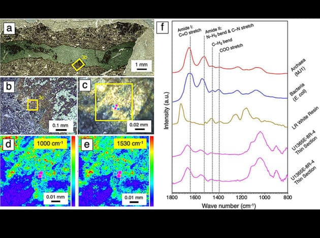 Fotos und Ergebnisse von Instrumenten, die für die O-PTIR-Analyse verwendet wurden. Forscher können die Bilder auf der linken Seite, die mit verschiedenen optischen Sensoren aufgenommen wurden, interpretieren, um Diagramme auf der rechten Seite zu erstellen, die das Vorhandensein mikrobiellen Lebens zeigen. Copyright/Quelle: 2025 Suzuki et al. CC-BY-ND