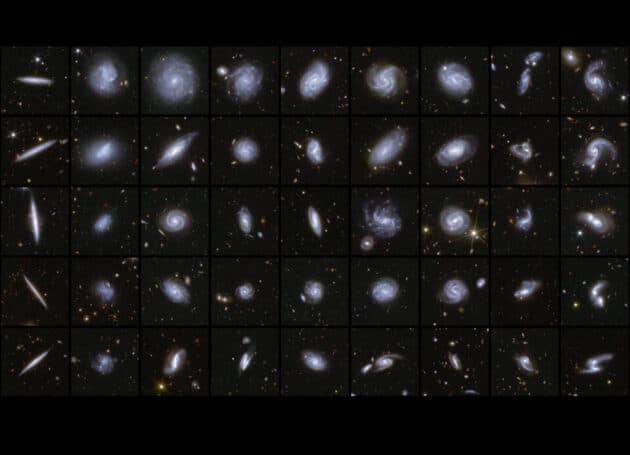 Unterschiedlich geformte, von Euclid entdeckte Galaxien. (Klicken Sie auf die Bildmitte, um zu einer vergrößerten Darstellung zu gelangen.) Copyright: ESA