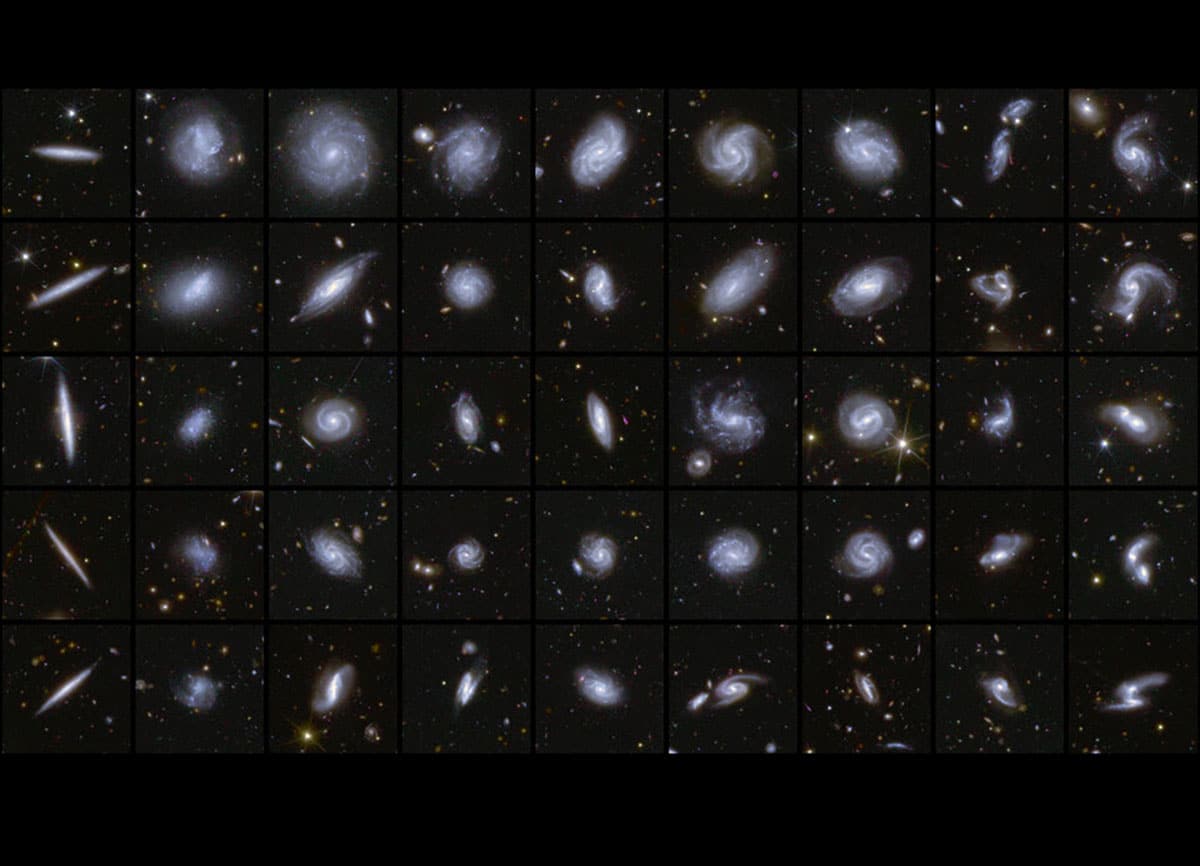 Unterschiedlich geformte, von Euclid entdeckte Galaxien. (Klicken Sie auf die Bildmitte, um zu einer vergrößerten Darstellung zu gelangen.)Copyright: ESA