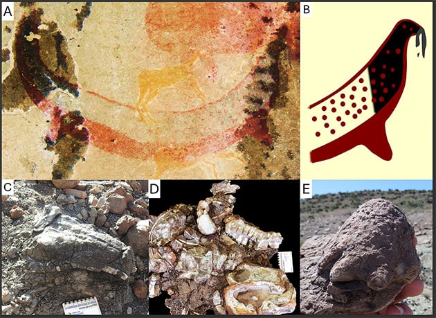 Das Felsenbild (o.l.) mit grafischer Rekonstruktion der Kopfpartie (o.r.) und Dicynodont-Fossilien aus der nahen Karoo.Copyright/Quelle: J. Benoit / PLoS One, 2025