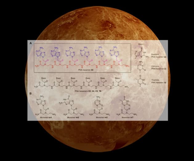 Gibt es auf der Venus eine biochemische Alternative zur irdischen DNA? Copyright/Quelle: Petkowski et al., Science Advances (2025) / NASA (Hntgr.)