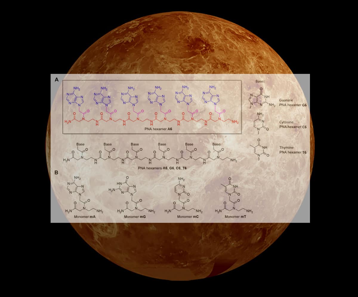 Gibt es auf der Venus eine biochemische Alternative zur irdischen DNA?Copyright/Quelle: Petkowski et al., Science Advances (2025) / NASA (Hntgr.)