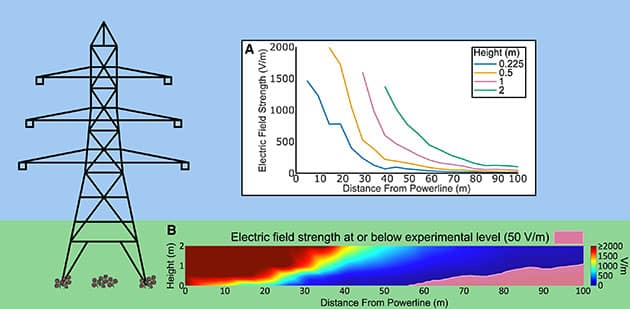 Elektrische Felder, wie sie von 275-kV-Hochspannungsleitungen im ländlichen England erzeugt werden.Copyright/Quelle: O’Reilly, Mallinson, Fraser A. Woodburn, iScience 2025