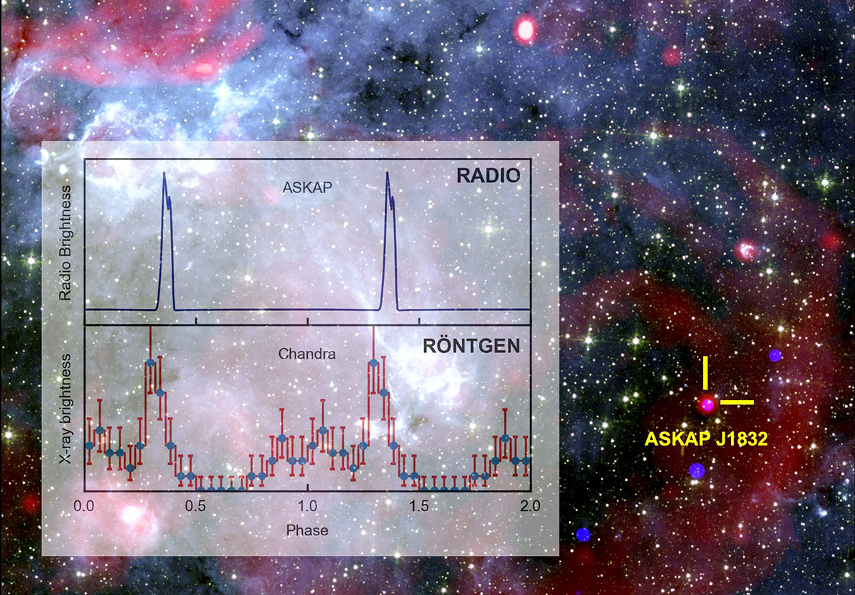 Die Radio- und Röntgen-Lichtkurven zeigen, wie ASKAP J1832-0911 in beiden Frequenzbereichen alle 44 Minuten pulsiert.Bildnachweis: Ziteng (Andy) Wang, ICRAR