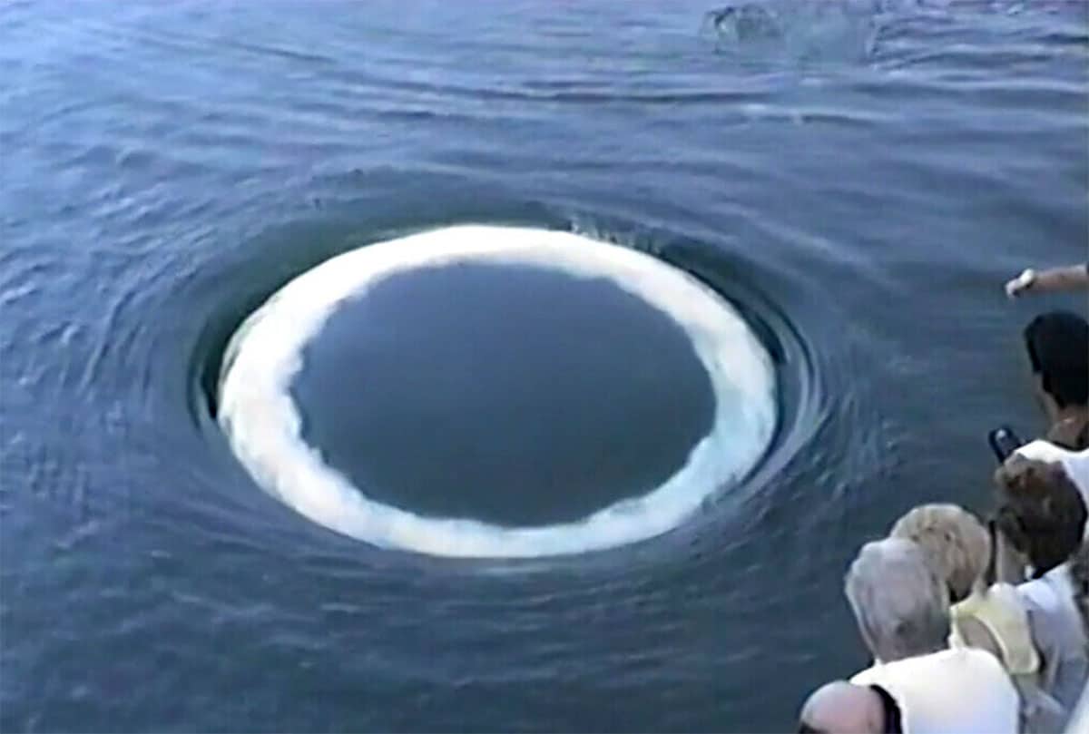 Ein von einem Buckelwal offenbar für eine Personengruppe erzeugter Blasen-RingCopyright/Quelle: Doyle et al., Marine Mammal Science (2025)