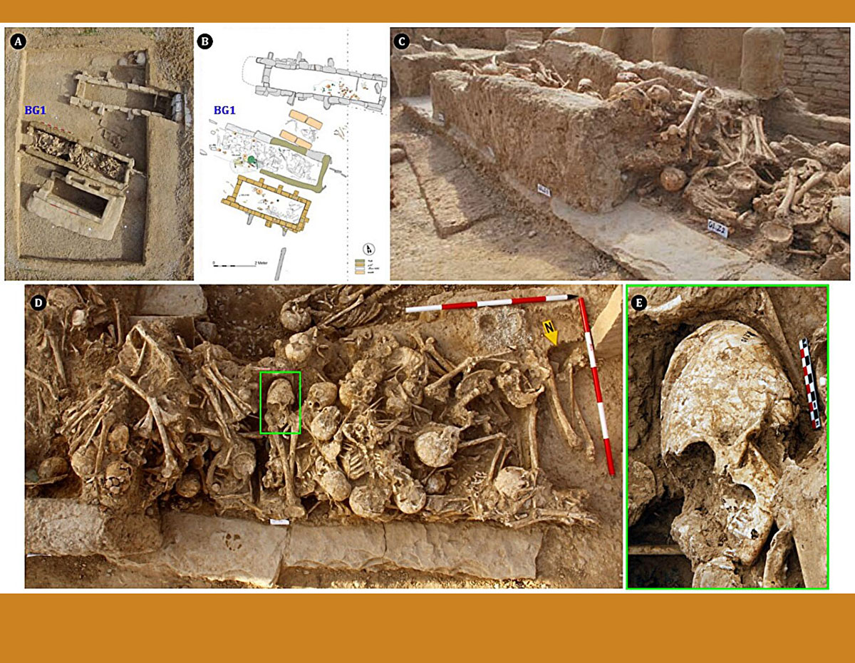 Blick auf das Mehrfachgrab „BG1“ an der Grabstätte Chega-Sofla und der darin bestatteten Individuen und dem Schädelfund „BG1.12“.Quellen: Archiv des Zohreh Prehistoric Project),  Alirezazadeh u. Nasab, International Journal of Osteoarchaeology (2025)