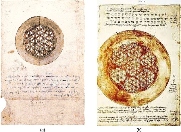 Leonardos Studien zu sechseckigen Kreis-Mustern. Leonardos Studien zu sechseckigen Kreis-Mustern aus dem Codex Atlanticus (Blätter 307v und 309v) zeigen seine systematische Untersuchung überlappender Kreis-Anordnungen, die zu dreieckigen Tessellationen führen. Diese Zeichnungen liefern direkten Beleg dafür, dass Leonardo aktiv dieselben Prinzipien effizienter Raumfüllung erforschte, die in der modernen Mathematik als grundlegend für optimale Organisation gelten. Sie stützen das Argument, dass seine Konstruktion des Vitruvianischen Menschen auf einem hochentwickelten geometrischen Verständnis beruhte.
