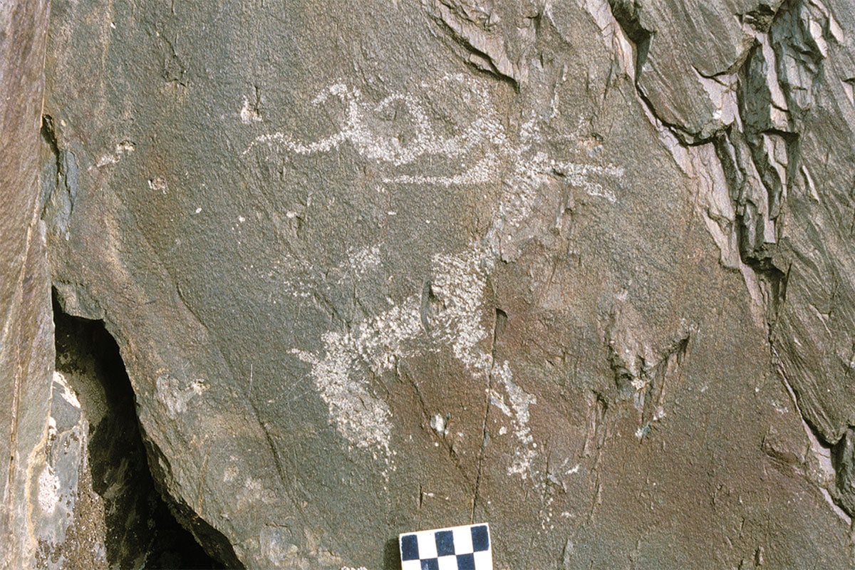 Elch-Darstellung mit einem wolfsartigen Körper und Schnauze, aus der frühen Eisenzeit im Tsagaan-Gol-Komplex( SK_K10)Copyright/Quelle: Photograph: Gary Tepfer, E. Jacobsen-Tepfer, Cambridge Archaeological Journal 2025