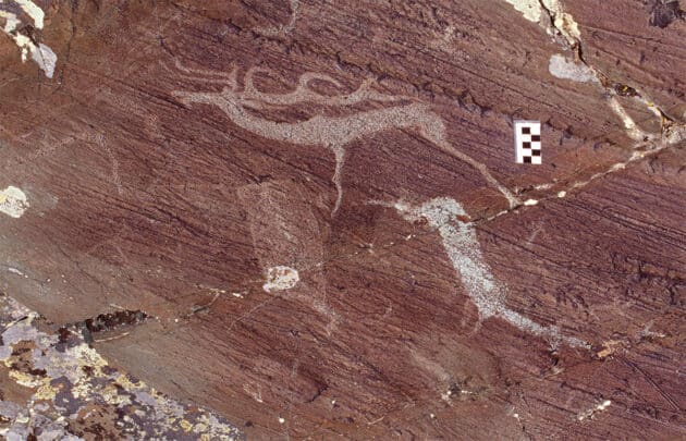 Bronzezeitliche Darstellung eines Yak (u.l.), eines Elches aus der späten Bronzeit (u.r.) und ein bereits mystifizierter Elch aus der Turk-Periode (o.) – auf einem Stein im Tsagaan-Gol -Komplex (SK_F4). Copyright/Quelle: Photograph: Gary Tepfer, E. Jacobsen-Tepfer, Cambridge Archaeological Journal 2025