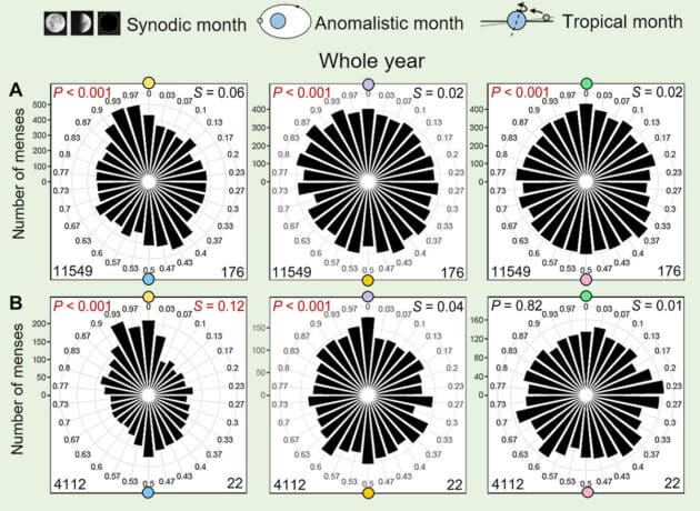 Copyright/Quelle: C. Helfrich-Förster et al., Science Advances 2025