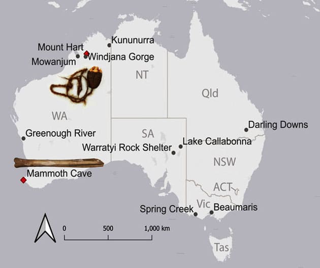 Die Fundorte zweier Tier-Fossilien aus der Mammoth Cave.Quelle: Archer et al., Royal Society Open Science 2025