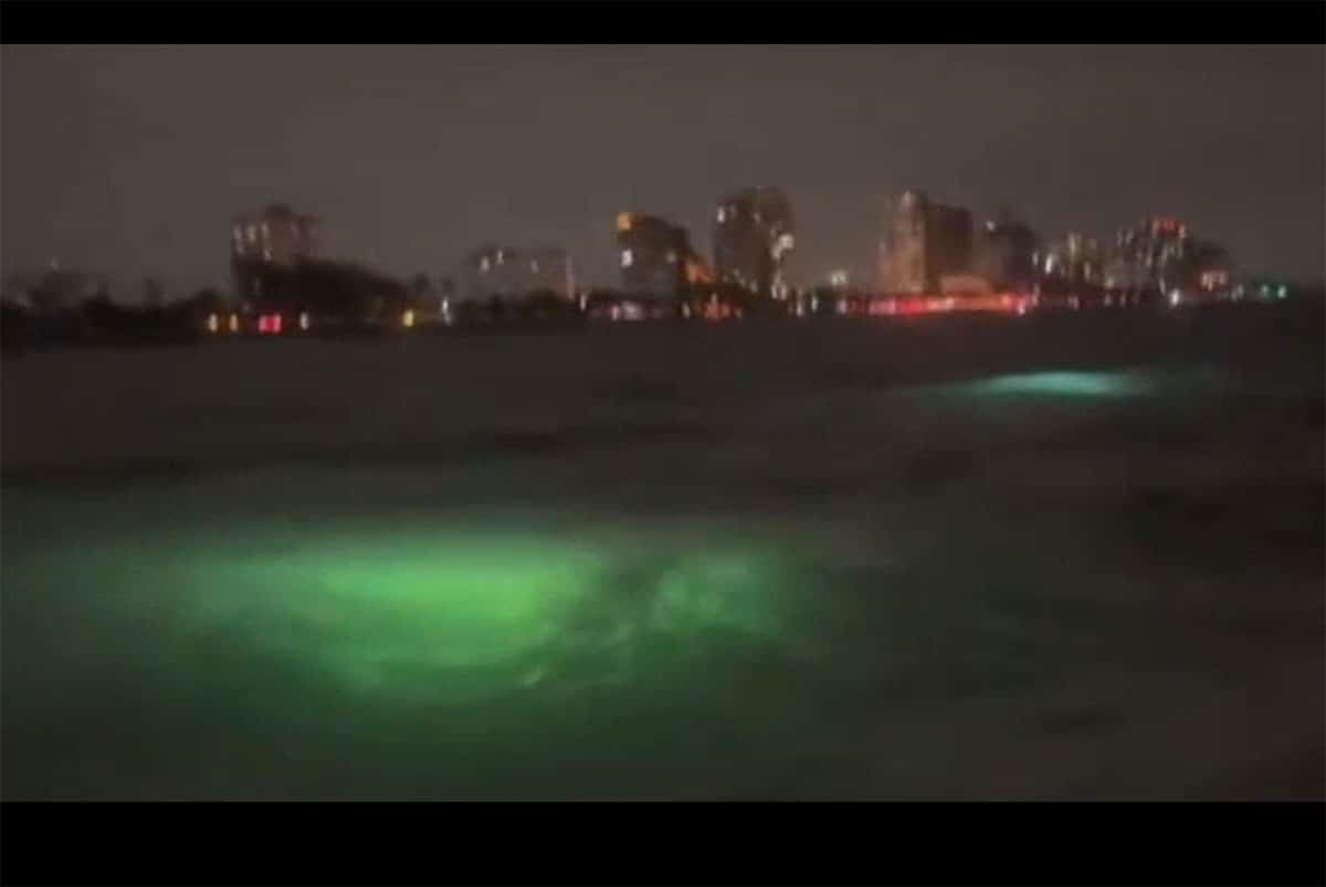 Standbild aus dem Video.Quelle: EnigmaLabs.io