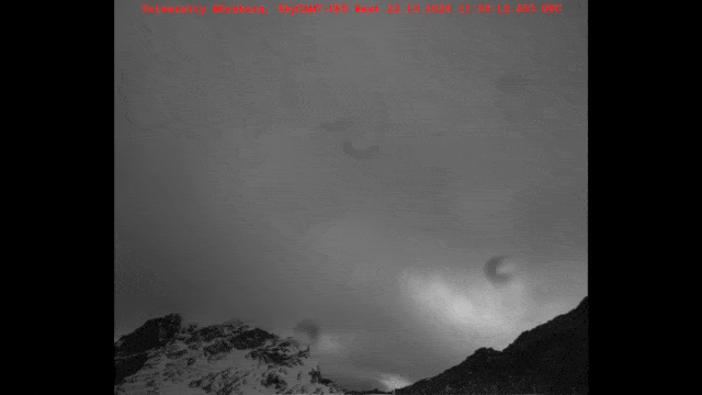Initial images demonstrate that both object detection and identification (example: bird) are functioning properly.Source: IFEX
