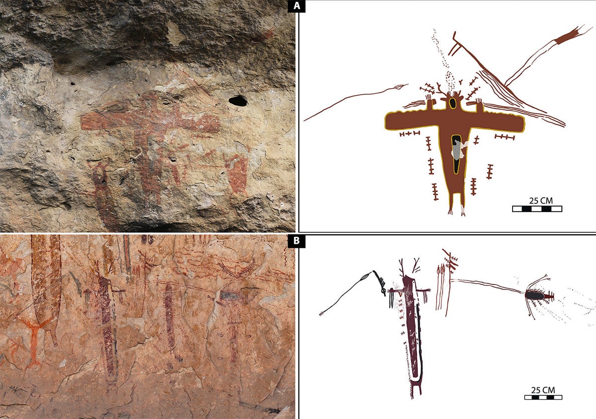 Power-Bündel-Motive an den Fundstellen 41VV286 und 41VV1230: (A) An der Fundstelle 41VV286 wurde eine geflügelte anthropomorphe Figur (A4) mit einem Power-Bündel mittels Radiokohlenstoffdatierung auf 2960 ± 100 RCYBP bestimmt (CAMS ID 191217, Probe Nr. 1). Dies entspricht einem Kalibrationszeitraum von 3370 bis 2860 v. Chr. mit einer Wahrscheinlichkeit von 95,4 % (Tabelle S1). Das chronologische Modell schätzt die Entstehung des Bildes auf 2995 bis 2800 v. Chr. (68,3 % Wahrscheinlichkeit). (B) Auch an der Fundstelle 41VV1230 wurde eine anthropomorphe Figur, nun mit roten Geweihstangen, die an den Spitzen schwarze Punkte aufweist (A5) gefunden und auf 2050 ± 45 RCYBP datiert (CAMS ID 190057, Probe Nr. 4). Der Kalibrationszeitraum liegt zwischen 2125 und 1870 v. Chr. (95,4 % Wahrscheinlichkeit), das Modell schätzt die Entstehung auf 1990 bis 1925 v. Chr. (68,3 % Wahrscheinlichkeit). Dies ist eines der jüngsten datierten Power-Bündel in der Studie.Quelle: Steelman et al., Science Advances 11, eadx7205; Carolyn E. Boyd (Illus.)