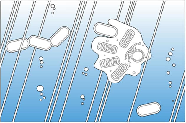 Symbolbild. Copyright: Dr. Christopher Kay