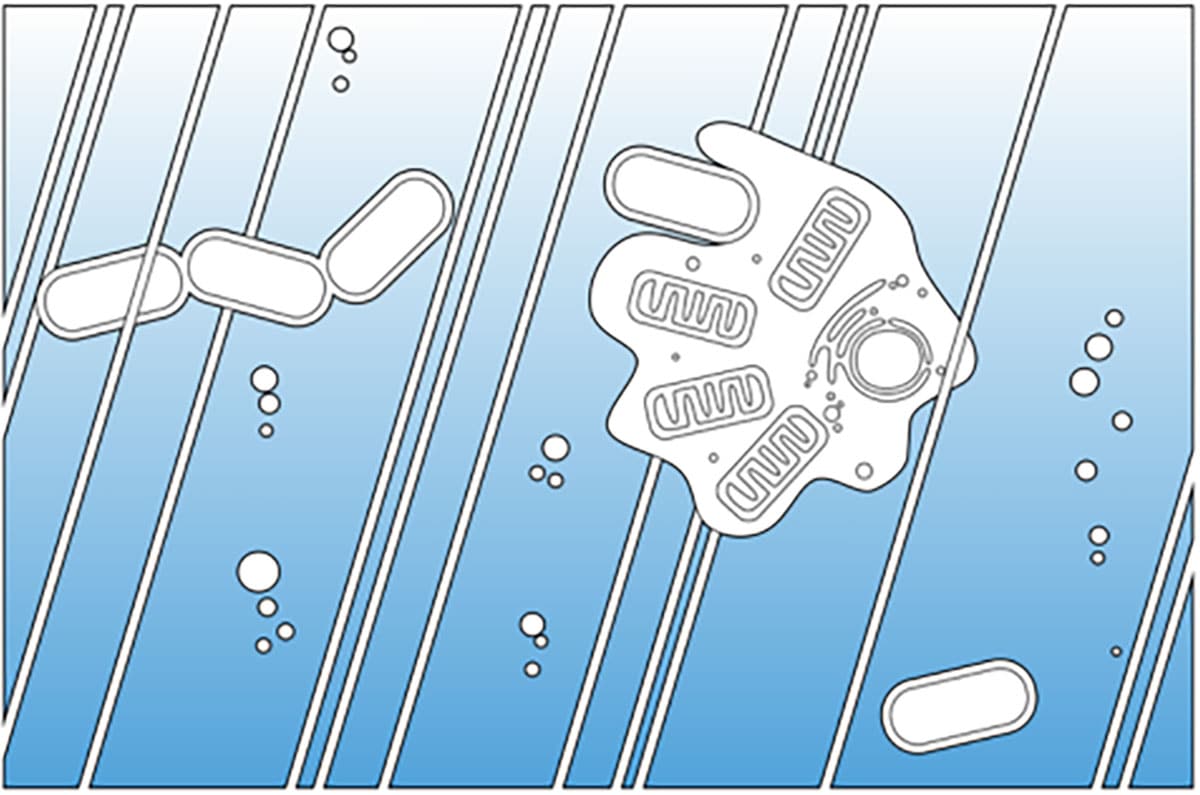 Symbolbild.Copyright: Dr. Christopher Kay