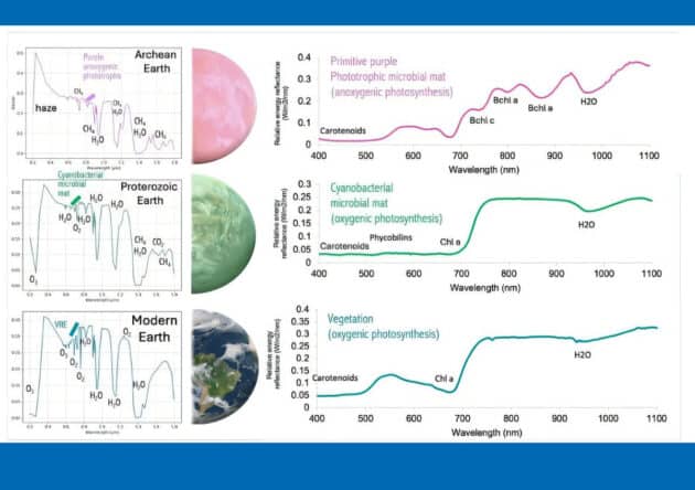 Spektroskopische Signaturen unterschiedlicher Phasen des irdischen Lebens. Quelle: Parenteau et al., arXiv (2026). DOI: 10.48550/arxiv.2601.08883